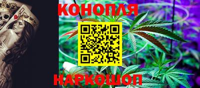 дмт Краснодар