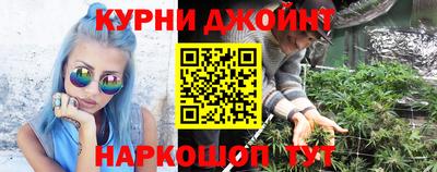 дмт Краснодар