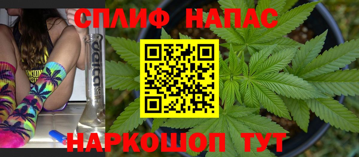 Конопля планчик Иваново